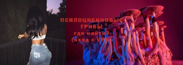 сатива Волосово