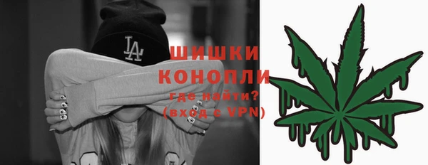 сатива Волосово