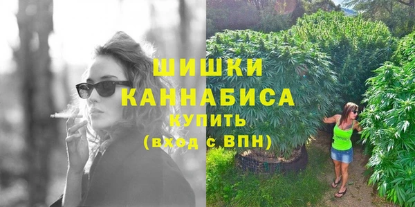сатива Волосово