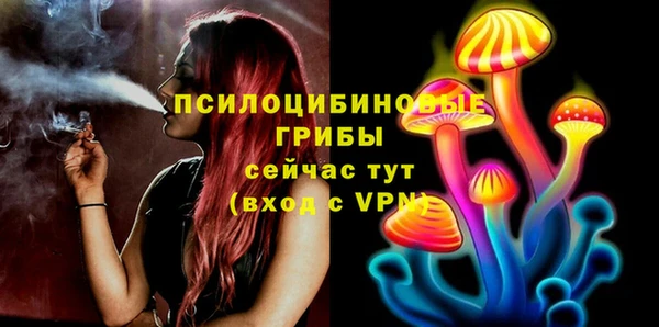 сатива Волосово