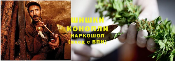 сатива Волосово