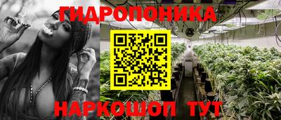 спиды Гусь-Хрустальный