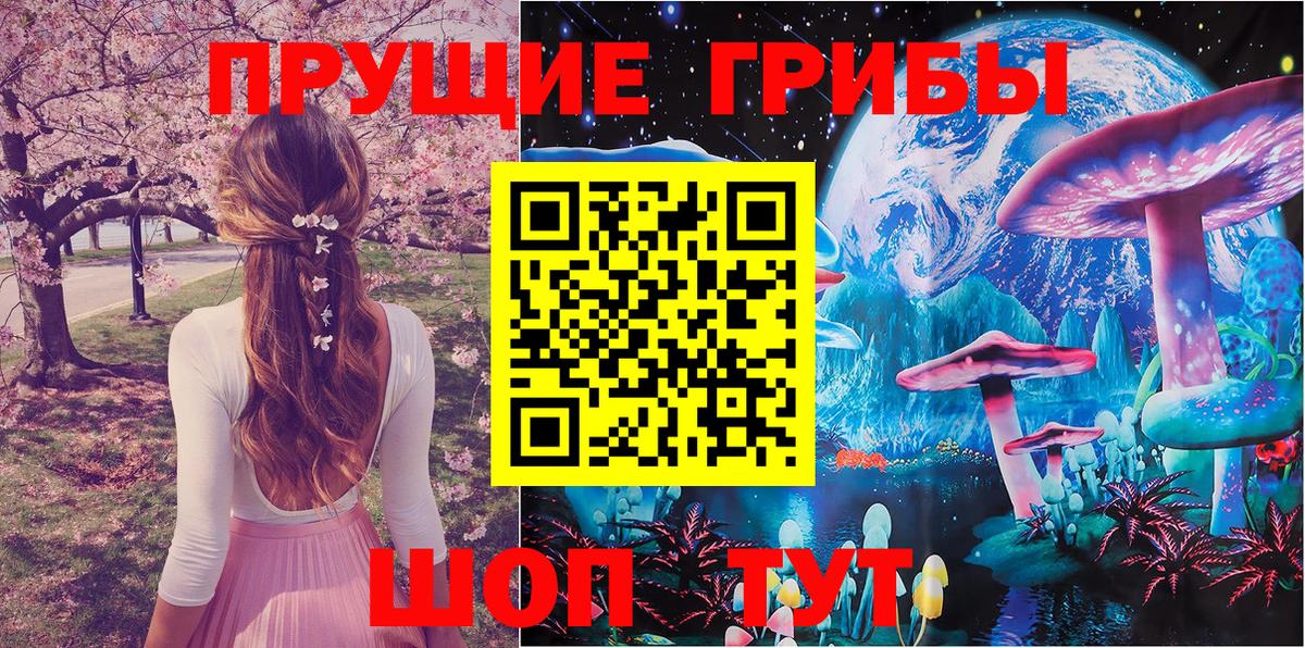 Псилоцибиновые грибы MAGIC MUSHROOMS  Псилоцибиновые грибы Cubensis  Елец  Вход с VPN 